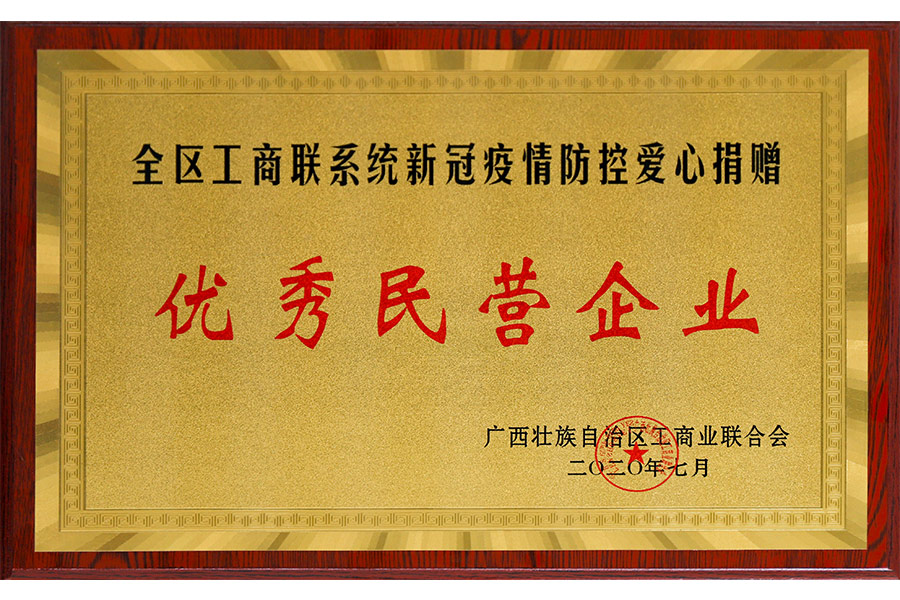 全區(qū)工商聯(lián)系統(tǒng)新冠疫情防控愛心捐贈(zèng)-優(yōu)秀民營企業(yè)